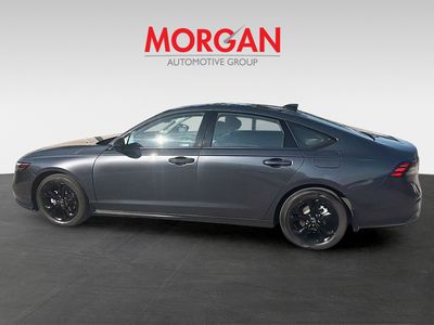 2025 Honda Accord Sedan - Photo 4