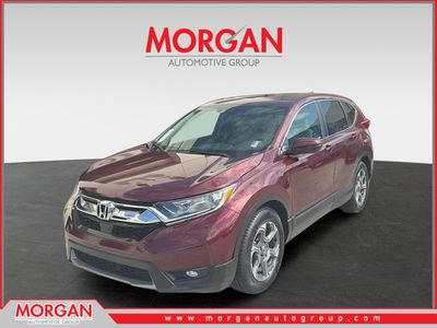 2019 Honda CR-V - Photo 1