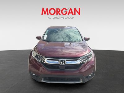 2019 Honda CR-V - Photo 2