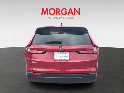 2023 Honda CR-V - Photo 6
