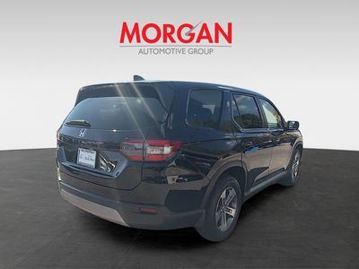 2025 Honda Pilot - Photo 7