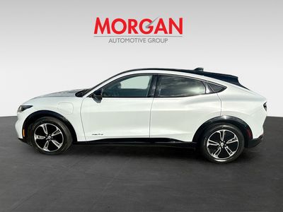 2023 Ford Mustang Mach-E - Photo 4
