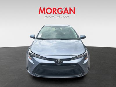 2024 Toyota Corolla - Photo 2