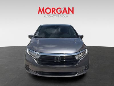 2024 Honda Odyssey - Photo 2