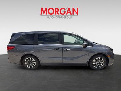 2024 Honda Odyssey - Photo 8