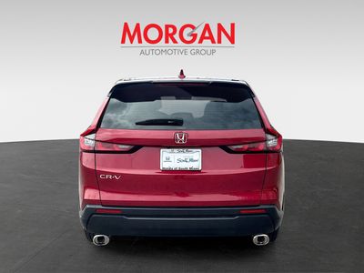 2024 Honda CR-V - Photo 6