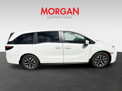 2026 Honda Odyssey — photo 8 view