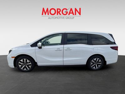 2026 Honda Odyssey — interior view