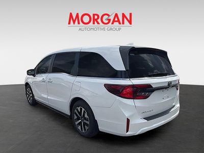 2026 Honda Odyssey — detail view