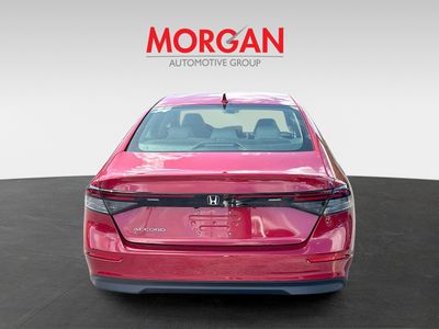 2026 Honda Accord Sedan - Photo 6
