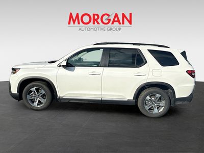 2026 Honda Pilot - Photo 4