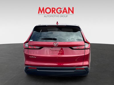 2026 Honda CR-V - Photo 6