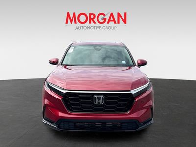 2026 Honda CR-V - Photo 2