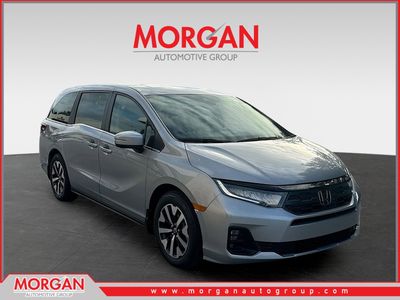 2026 Honda Odyssey - Photo 1