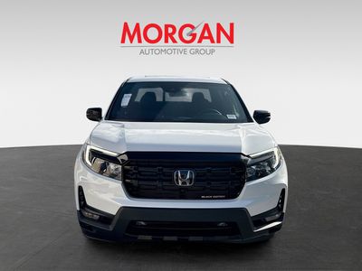 2026 Honda Pilot - Photo 2
