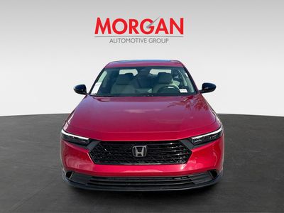 2026 Honda Accord Sedan - Photo 2