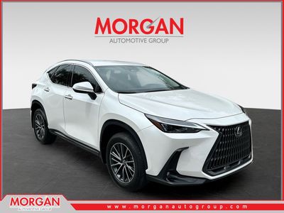 2025 Lexus NX - Photo 1