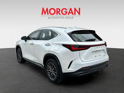 2025 Lexus NX - Photo 5
