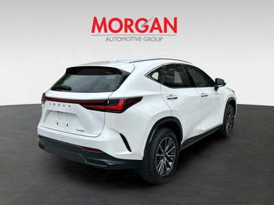 2025 Lexus NX - Photo 7