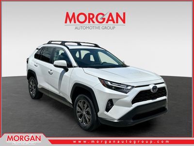 2023 Toyota RAV4 Hybrid - Photo 1