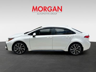2020 Toyota Corolla - Photo 4