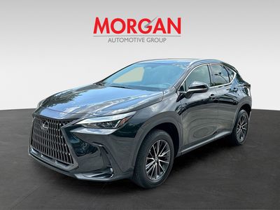 2024 Lexus NX - Photo 3