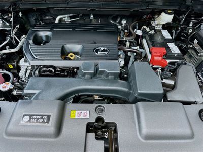 2024 Lexus NX - Photo 31