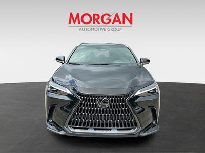 2025 Lexus NX - Photo 2