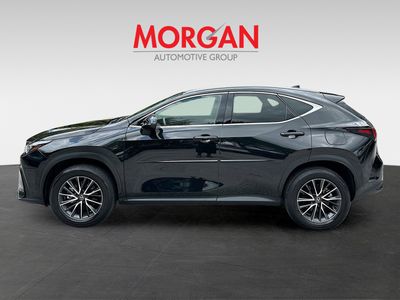 2025 Lexus NX - Photo 4