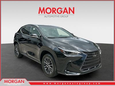 2025 Lexus NX - Photo 1