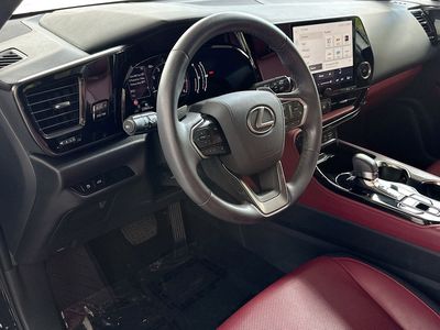 2025 Lexus NX - Photo 9