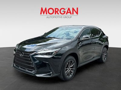 2025 Lexus NX - Photo 3