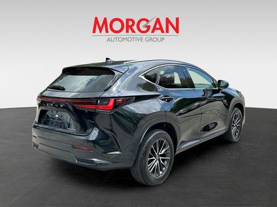 2025 Lexus NX - Photo 7