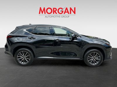 2025 Lexus NX - Photo 8
