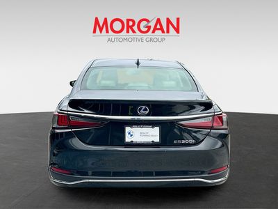 2022 Lexus ES - Photo 6