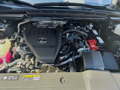 2024 Lexus RX - Photo 37