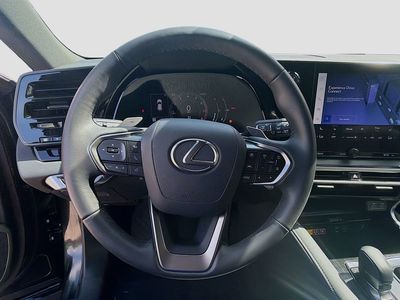 2024 Lexus RX - Photo 10