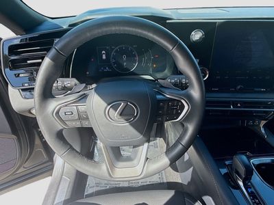 2024 Lexus RX - Photo 10