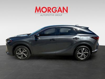 2024 Lexus RX - Photo 4
