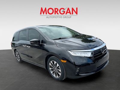 2024 Honda Odyssey - Photo 2