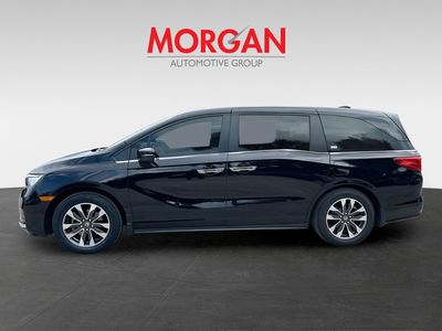 2024 Honda Odyssey - Photo 5