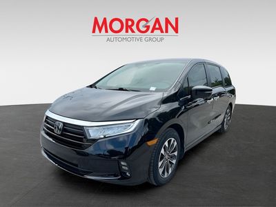 2024 Honda Odyssey - Photo 4