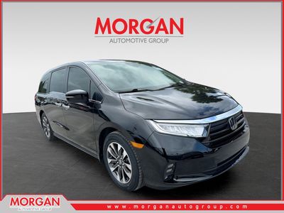 2024 Honda Odyssey - Photo 1