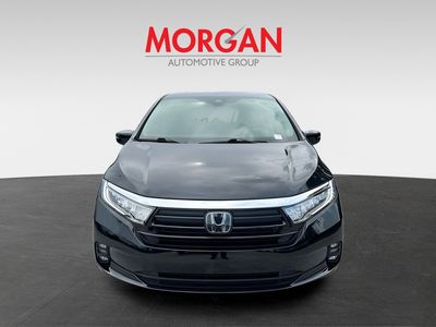 2024 Honda Odyssey - Photo 3