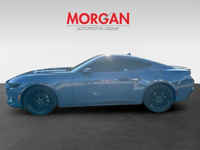 2025 Ford Mustang - Photo 5