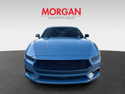 2025 Ford Mustang - Photo 3