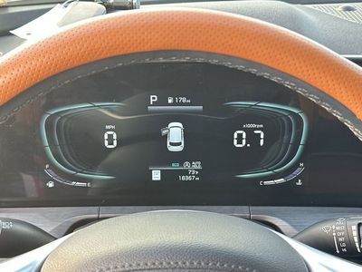 2024 Kia Telluride - Photo 10