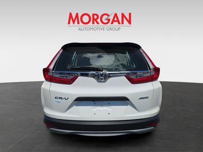 2019 Honda CR-V - Photo 5