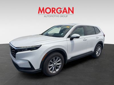 2024 Honda CR-V - Photo 3