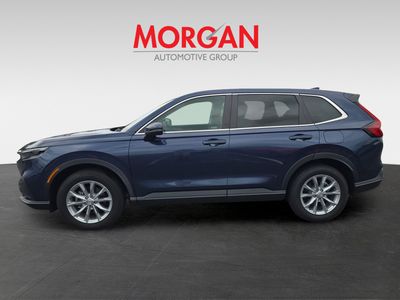 2024 Honda CR-V - Photo 6
